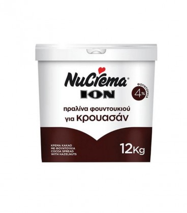 ΙΟΝ NUCREMA ΠΡΑΛΙΝΑ ΦΟΥΝΤΟΥΚΙΟΥ ΓΙΑ ΚΡΟΥΑΣΑΝ 20kg