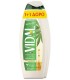VIDAL ΑΦΡΟΛΟΥΤΡΟ BIO HEMP OIL 500ml 6X1+1