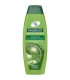 PALMOLIVE ΣΑΜΠΟΥΑΝ SILKY SHINE ΑΛΟΗ 12Χ350ml