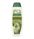 PALMOLIVE ΣΑΜΠΟΥΑΝ LONG&SHINE ΕΛΙΑ 12Χ350ml