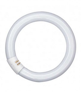 OSRAM ΛΑΜΠΑ ΦΘΟΡΙΟΥ ΣΤΡΟΓΓΥΛΗ 40w 6500K ΨΥΧΡΗ Χ12