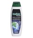PALMOLIVE ΣΑΜΠΟΥΑΝ ΑΝΔΡ. ANTI DANDRUFF 12Χ350ml