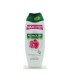 PALMOLIVE ΑΦΡΟΛΟΥΤΡΟ ORCHIDEA E LATTE 12Χ750ml