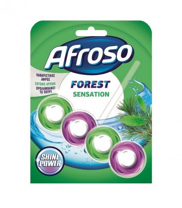 AFROSO WC BLOCK SOLID FOREST SENSATION 12X40gr