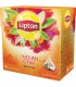 LIPTON ΤΣΑΪ ΜΑΥΡΟ INDIAN ΠΥΡΑΜΙΔΑ 12Χ(20Χ1,5gr)