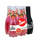 ΕΨΑ ΣΑΓΚΟΥΪΝΙ 330ml pet 5+1 2X6pack