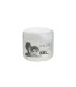 FARCOM GEL ΜΑΛΛΙΩΝ ΒΑΖΟ WET LOOK 24Χ250ml