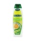 PALMOLIVE ΣΑΜΠΟΥΑΝ FRESH&VOLUME 12Χ350ml