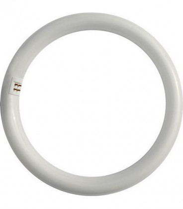 ETRON ETK ΛΑΜΠΑ ΣΤΡΟΓΓΥΛΗ ΦΘΟΡΙΟΥ Τ9 40w G10q (401Χ401Χ29mm) ΨΥΧΡΟ Χ 20