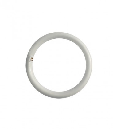 ETRON ETK ΛΑΜΠΑ ΣΤΡΟΓΓΥΛΗ ΦΘΟΡΙΟΥ Τ9 32w G10q (304Χ304Χ33mm) ΨΥΧΡΟ Χ 20