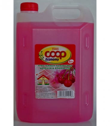 ΕΛΛ.ΔΙΑΤΡΟΦΗ ΥΓΡΟ ΓΕΝ.ΚΑΘ.ΚΕΡΑΣΙ 4LT X 4TEM