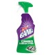 CILLIT BANG SPRAY ΚΑΤΑ ΤΩΝ ΛΙΠΩΝ 12Χ750ml