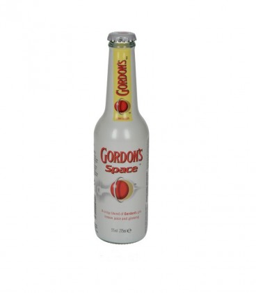GORDON'S SPACE 24X275ml