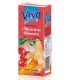 VIVA FRESH ΜΠΑΝΑΝΑ-ΒΥΣΣΙΝΟ 27X250ml