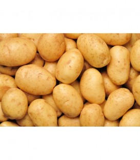 ΠΑΤΑΤΕΣ ΝΩΠΕΣ ΕΛΛΗΝΙΚΕΣ ΔΙΧΤΥ 30kg