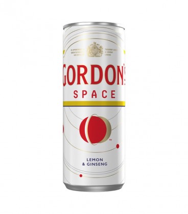 GORDON'S SPACE 12X250ml