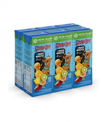 NUTRI VALLEY SCOOBY DOO ΧΥΜΟΣ 9 ΦΡΟΥΤΑ 250ml 6pack Χ5