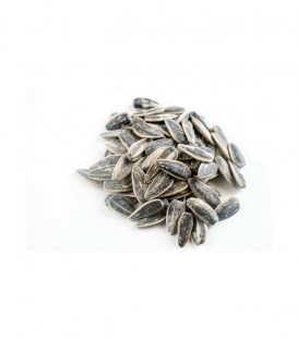 ΗΛΙΟΣ ΗΛΙΟΣΠΟΡΟΣ ΨΗΜΕΝΟΣ ΧΥΜΑ