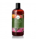 FRESH CARE ΣΑΜΠΟΥΑΝ WILD ROSES ΓΙΑ ΕΥΑΙΣΘΗΤΑ ΜΑΛΛΙΑ 12X500ml