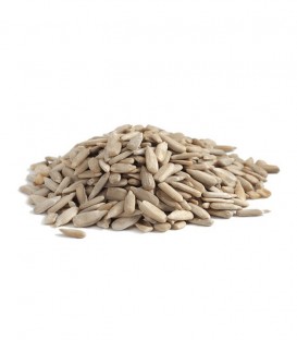 ΗΛΙΟΣ ΗΛΙΟΣΠΟΡΟΣ ΨΙΧΑ ΧΥΜΑ