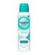 ΝΟΧΖΕΜΑ SPRAY CLASSIC 6X150ml