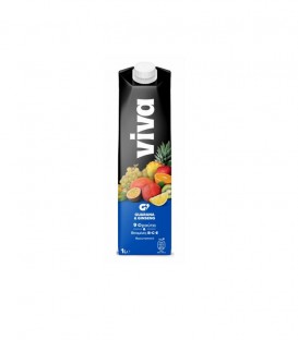 VIVA FRESH GUARANA & GINSENG 9 ΦΡΟΥΤΑ ΦΡΟΥΤΟΠΟΤΟ 12X1lt