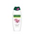 PALMOLIVE ΑΦΡΟΛΟΥΤΡΟ ORCHID&MILK 12Χ650ml