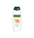 PALMOLIVE ΑΦΡΟΛΟΥΤΡΟ MILK&HONEY 12Χ650ml