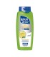 WASH & GO ΣΑΜΠΟΥΑΝ 2in1 MEN OIL CONTROL 6X650ml