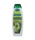 PALMOLIVE ΣΑΜΠΟΥΑΝ LONG&SHINE 12Χ350ml