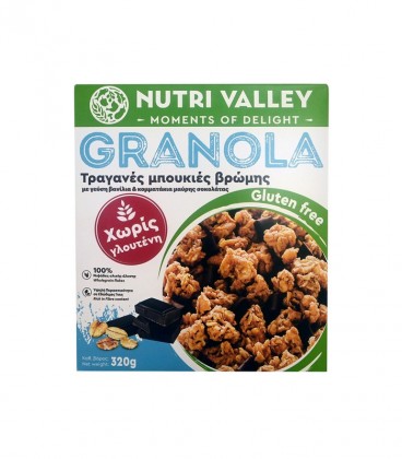 NUTRI VALLEY GRANOLA ΧΩΡΙΣ ΓΛΟΥΤΕΝΗ VANILLA CHOCO 8X320gr